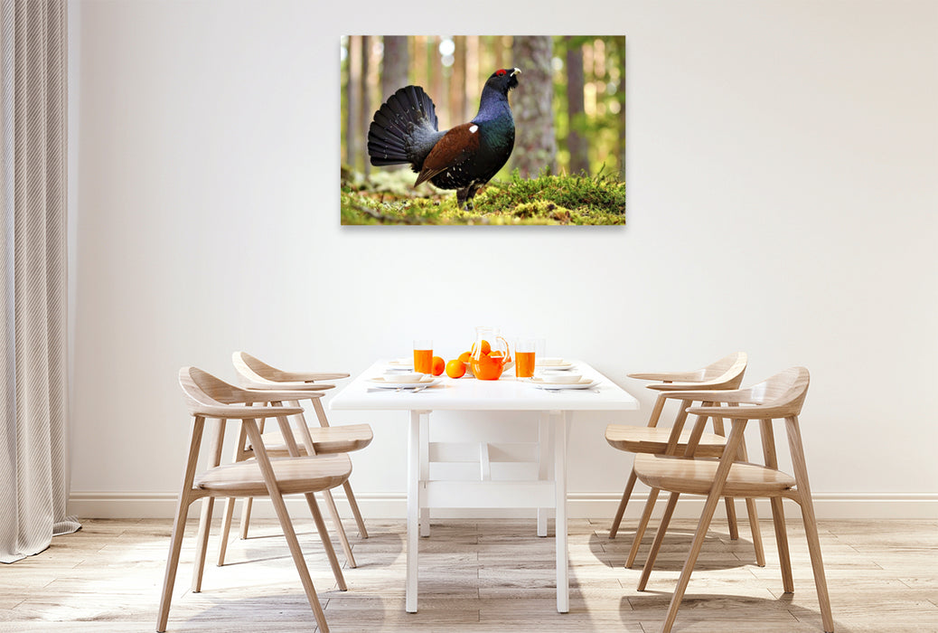 Premium Textil-Leinwand Lerne von der Geschwindigkeit der Natur.