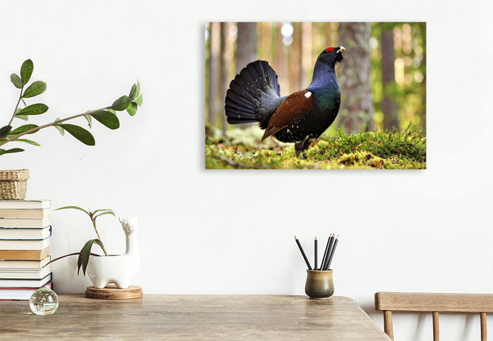 Premium Textil-Leinwand Lerne von der Geschwindigkeit der Natur.