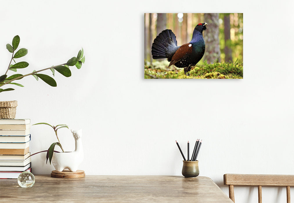 Premium Textil-Leinwand Lerne von der Geschwindigkeit der Natur.