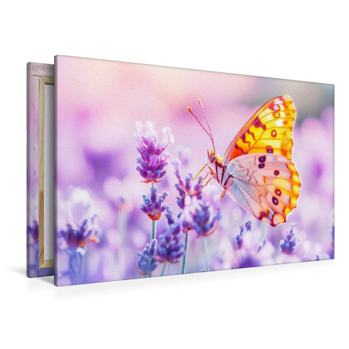 Premium Textil-Leinwand Schmetterling auf Lavendelblüten im Gegenlicht
