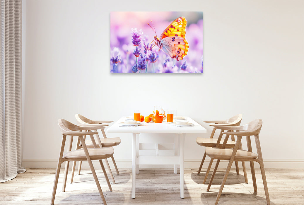 Premium Textil-Leinwand Schmetterling auf Lavendelblüten im Gegenlicht