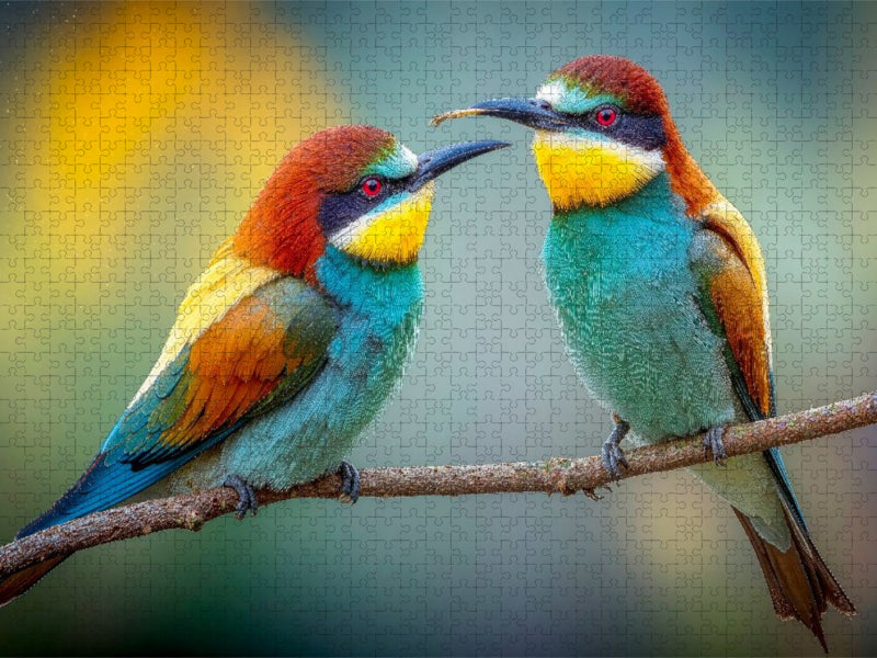 Ein letzter Plausch im warmen Frühlingslicht - CALVENDO Foto-Puzzle'