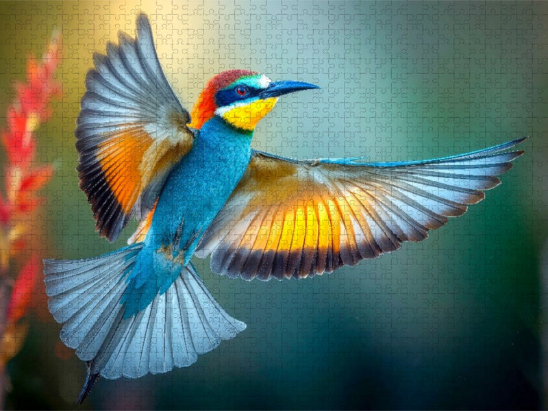 Schillernde Schönheit - CALVENDO Foto-Puzzle'