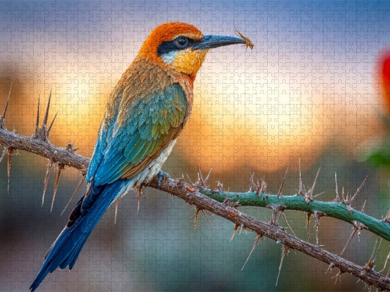 Mit sicherem Schnabel wird die Beute präsentiert - CALVENDO Foto-Puzzle'