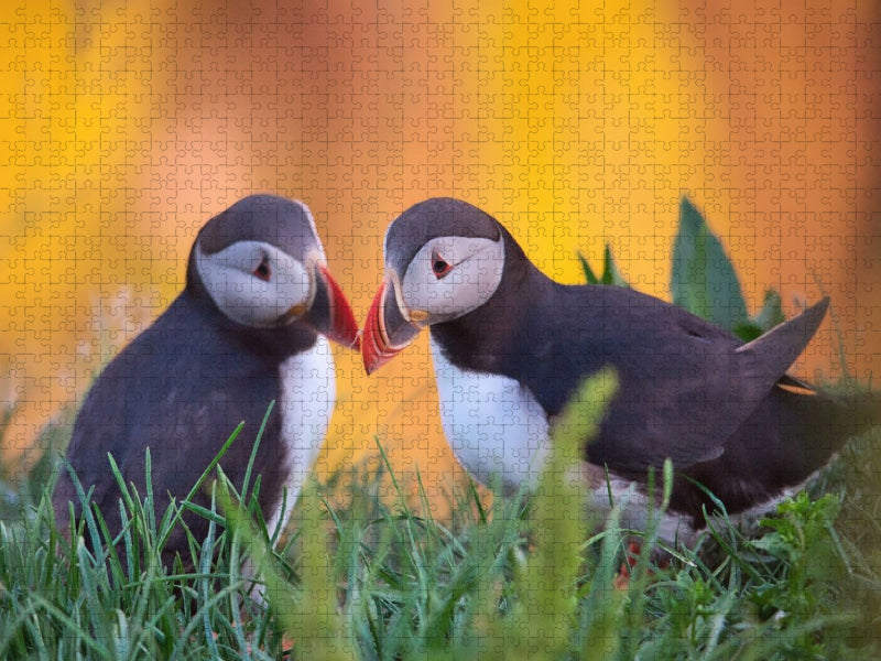 zweisam - CALVENDO Foto-Puzzle'