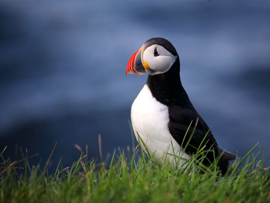 das Meer im Herzen - CALVENDO Foto-Puzzle'
