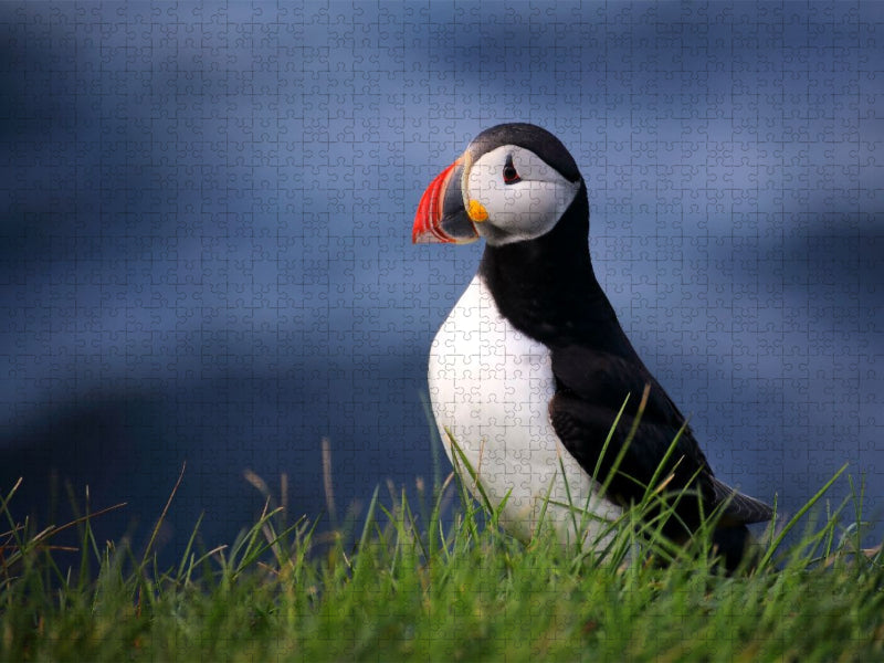 das Meer im Herzen - CALVENDO Foto-Puzzle'