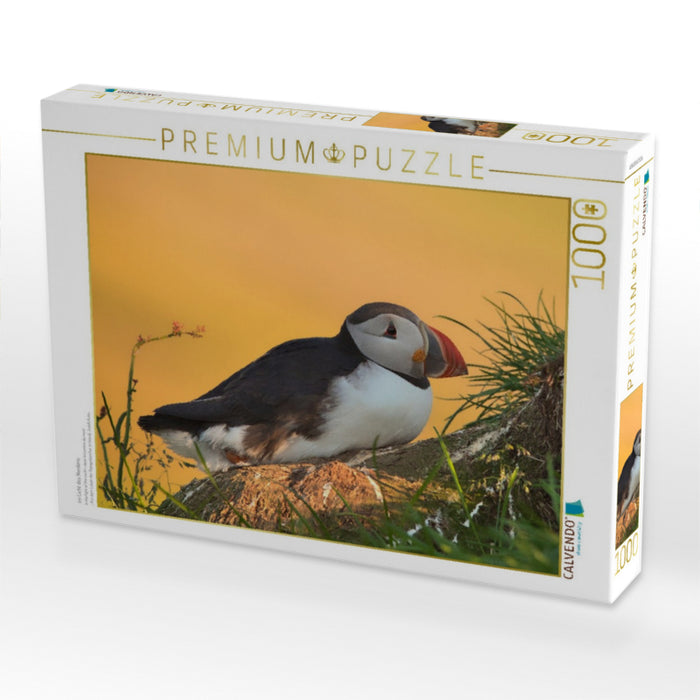 im Licht des Nordens - CALVENDO Foto-Puzzle'