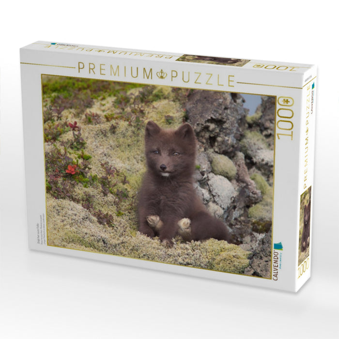 Zeigt her eure Füße - CALVENDO Foto-Puzzle'