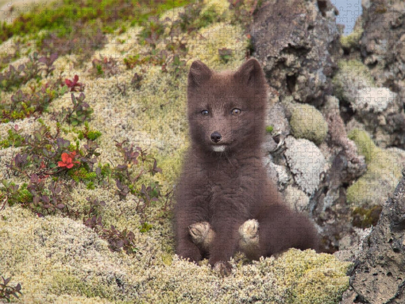 Zeigt her eure Füße - CALVENDO Foto-Puzzle'