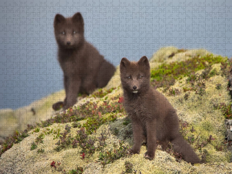 Doppelgänger - CALVENDO Foto-Puzzle'