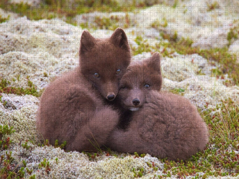 Seite an Seite - CALVENDO Foto-Puzzle'