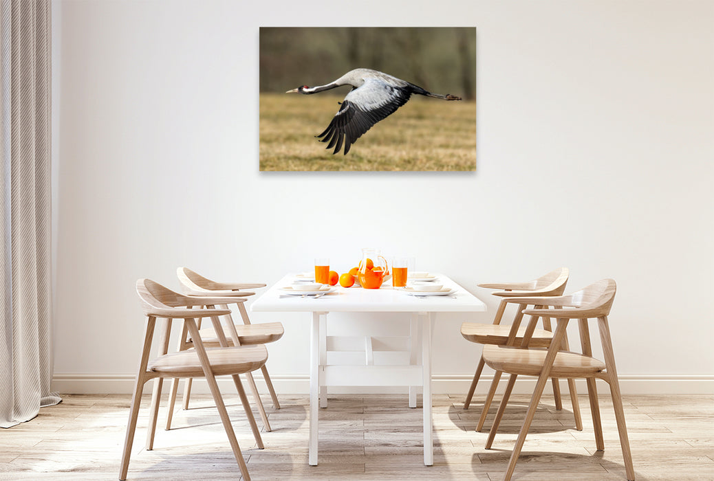 Premium Textil-Leinwand Kraniche im Erzgebirge