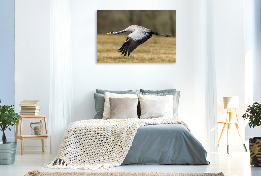 Premium Textil-Leinwand Kraniche im Erzgebirge