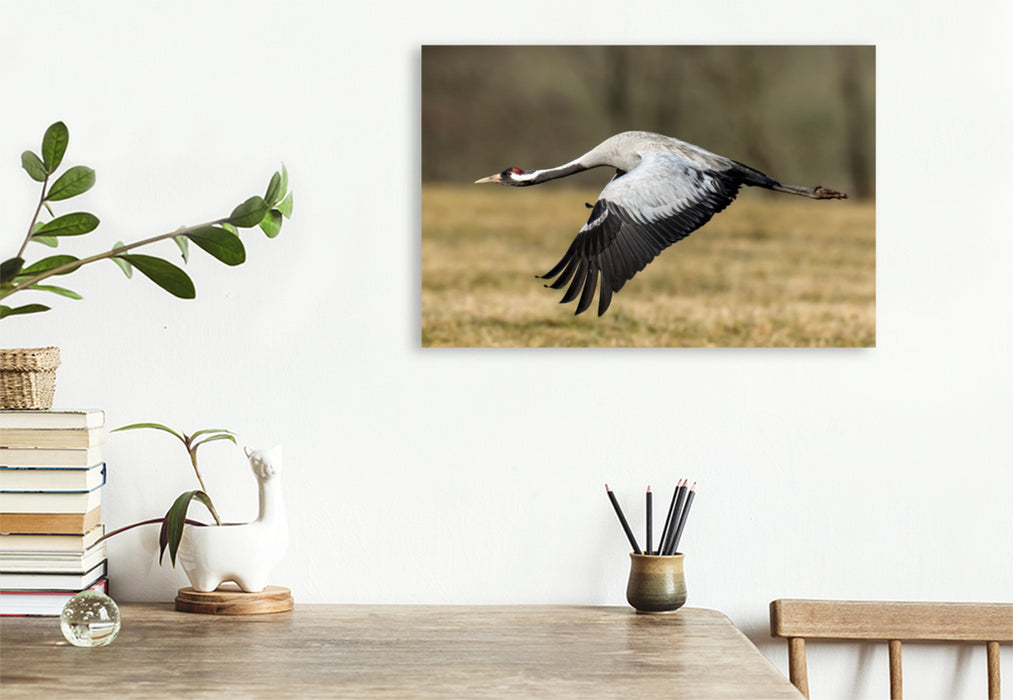 Premium Textil-Leinwand Kraniche im Erzgebirge