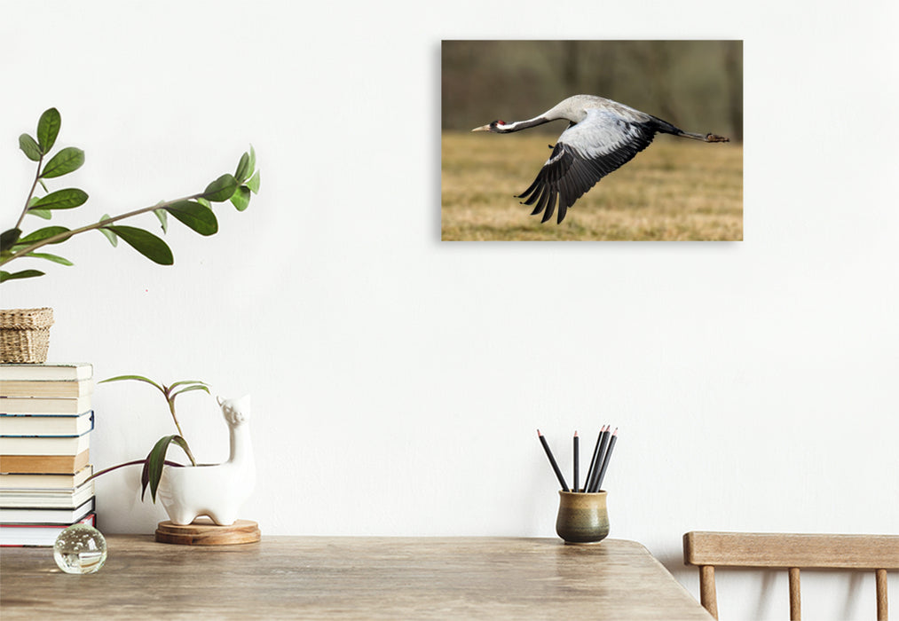 Premium Textil-Leinwand Kraniche im Erzgebirge