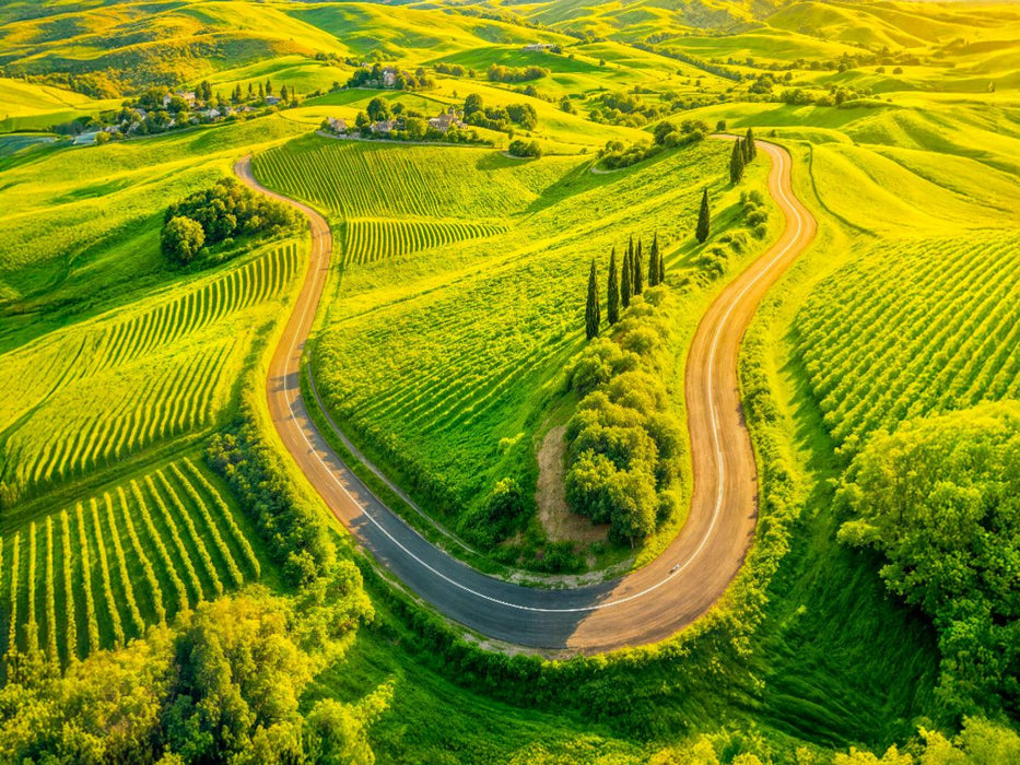 Straße zwischen Weinreben und Zypressen - CALVENDO Foto-Puzzle'