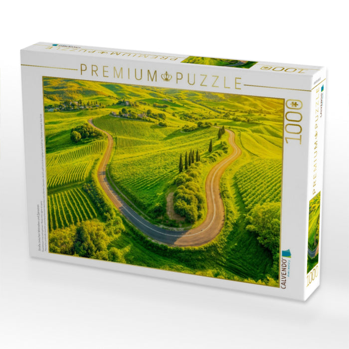 Straße zwischen Weinreben und Zypressen - CALVENDO Foto-Puzzle'