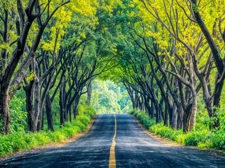 Straße unter grünen Baumkronen - CALVENDO Foto-Puzzle'