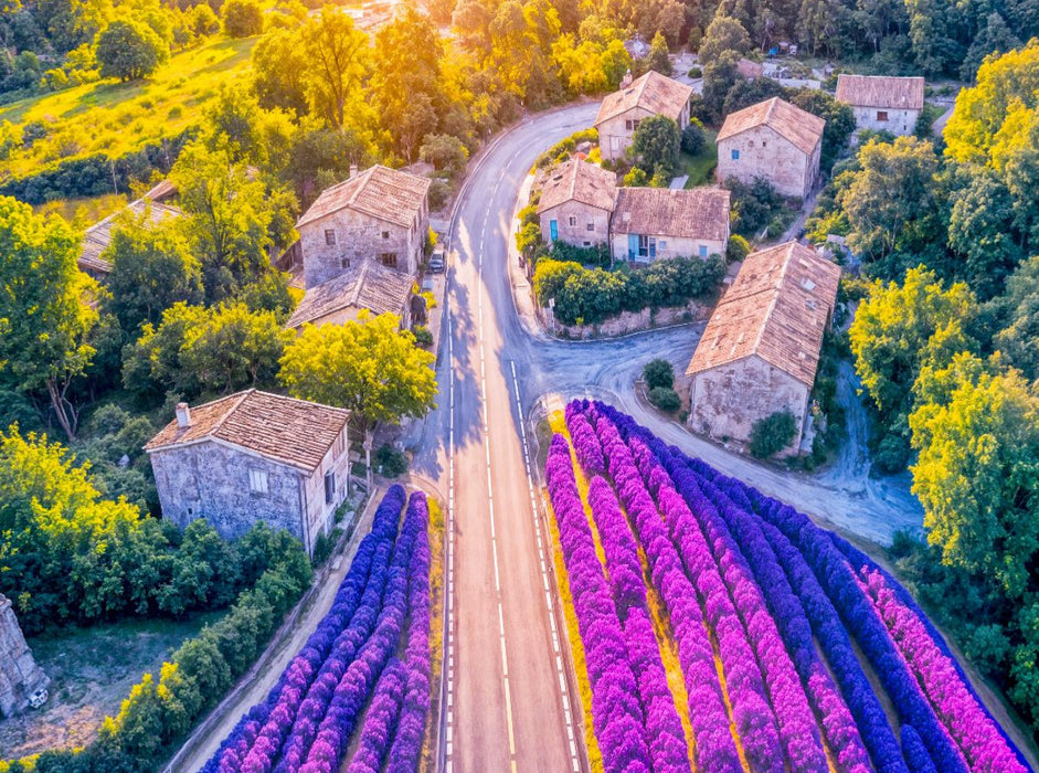 Straße durch Lavendelfelder am Dorf - CALVENDO Foto-Puzzle'