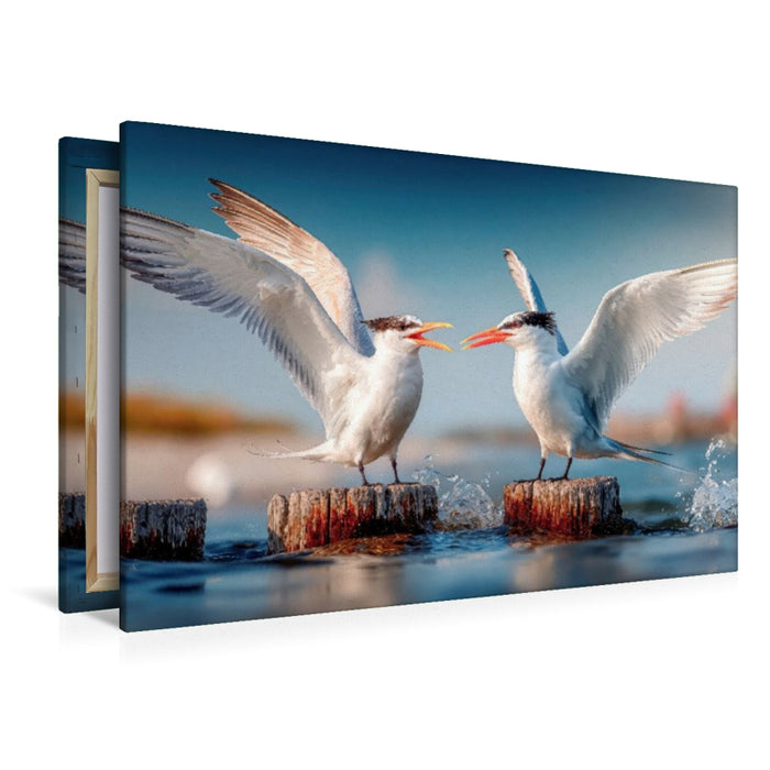 Premium Textil-Leinwand Seeschwalbengetratsche