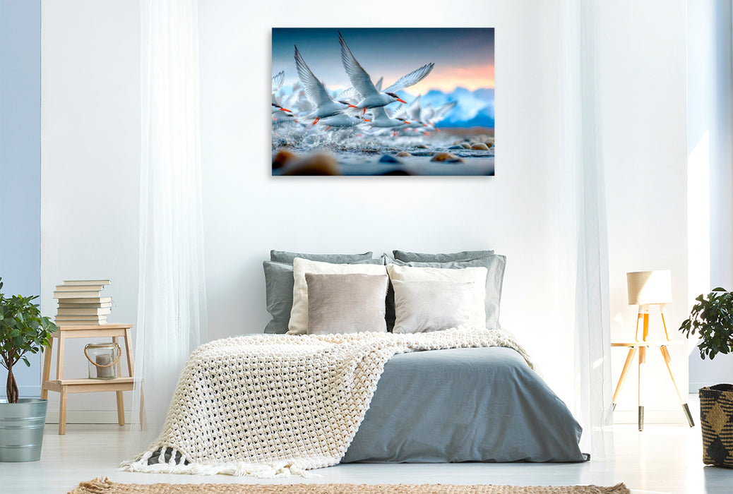 Premium Textil-Leinwand Flug an die Küste