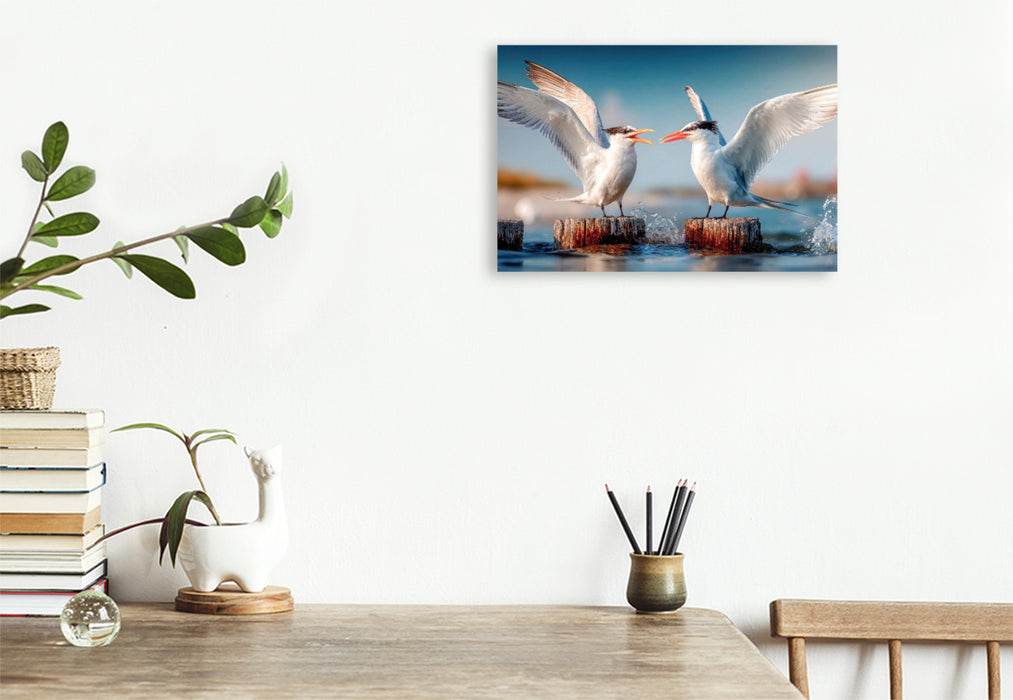 Premium Textil-Leinwand Seeschwalbengetratsche