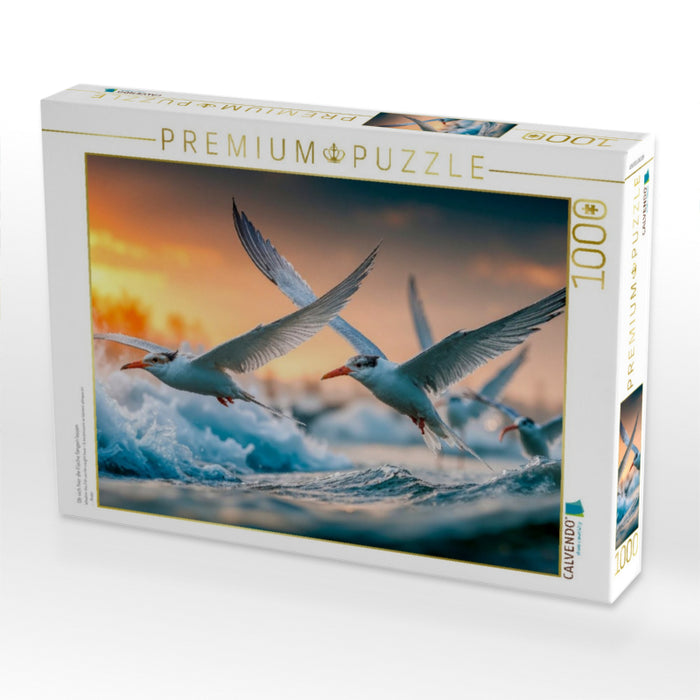 Ob sich hier die Fische fangen lassen - CALVENDO Foto-Puzzle'