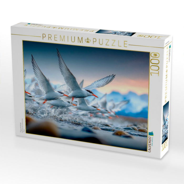 Flug an die Küste - CALVENDO Foto-Puzzle'