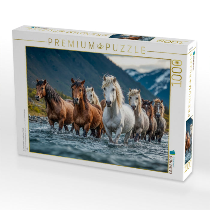 Durch den Bach zur nächsten Weide - CALVENDO Foto-Puzzle'