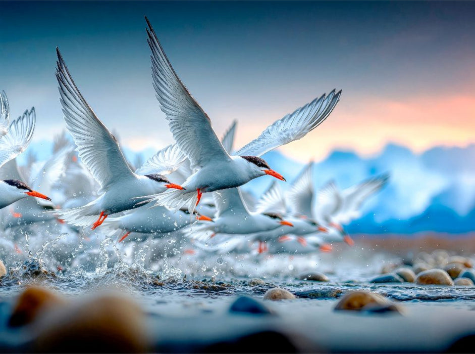 Flug an die Küste - CALVENDO Foto-Puzzle'