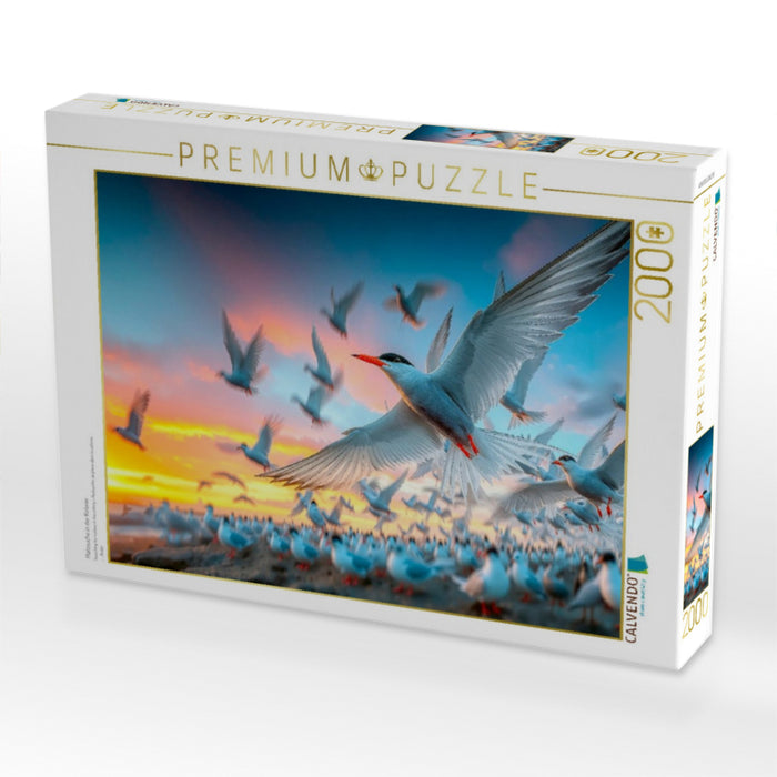 Platzsuche in der Kolonie - CALVENDO Foto-Puzzle'