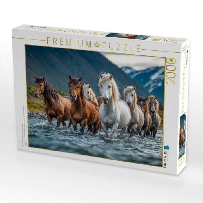 Durch den Bach zur nächsten Weide - CALVENDO Foto-Puzzle'