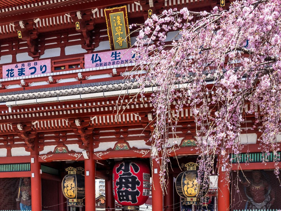TOKIO Asakusa mit Hozomon Tor zur Kirschblüte - CALVENDO Foto-Puzzle'