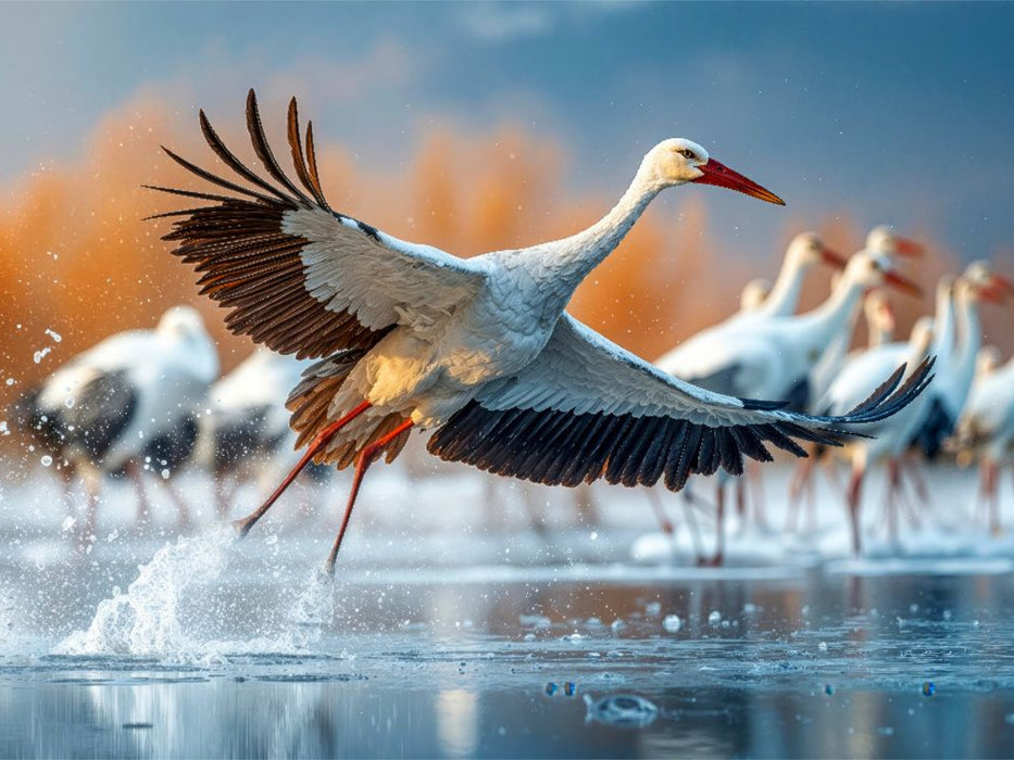 Aufbruch zu fernen Ufern - CALVENDO Foto-Puzzle'