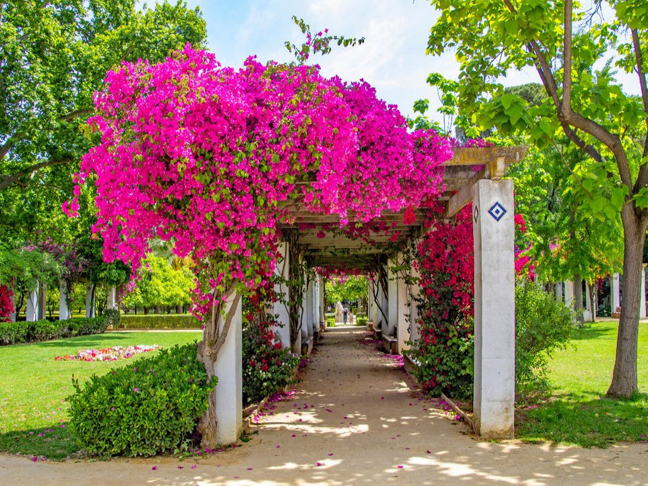 Blumenpracht im Park Maria Luisa - CALVENDO Foto-Puzzle'