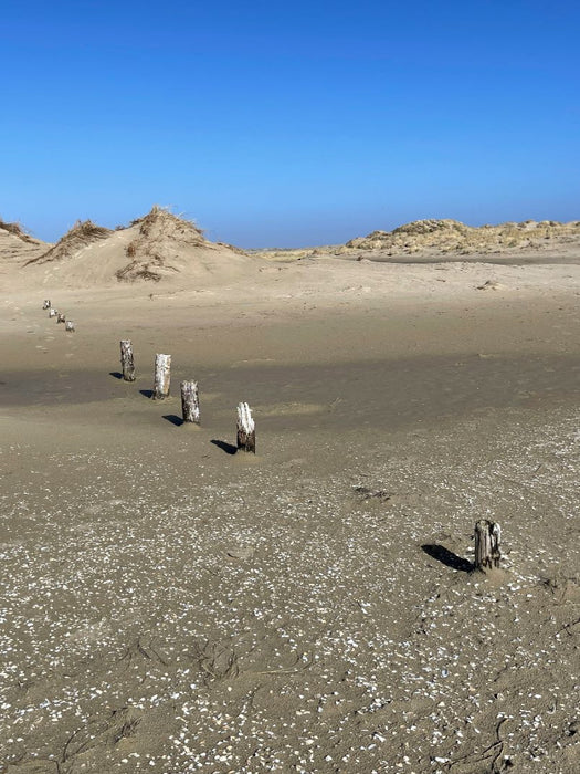 Weite Dünenlandschaft in Nordfriesland - CALVENDO Foto-Puzzle'