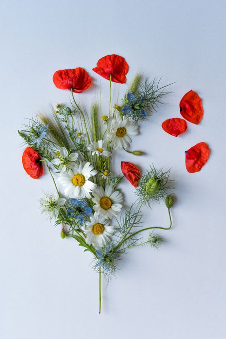 Premium Textil-Leinwand Sommerpoesie