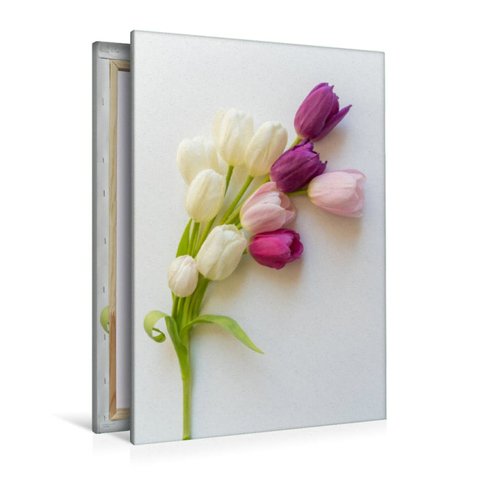 Premium Textil-Leinwand Tulpenzauber