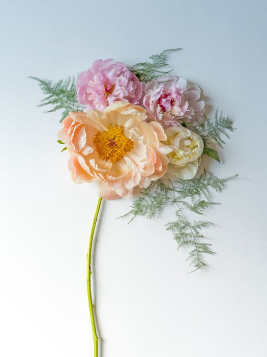 Pfingstrosentraum - CALVENDO Foto-Puzzle'