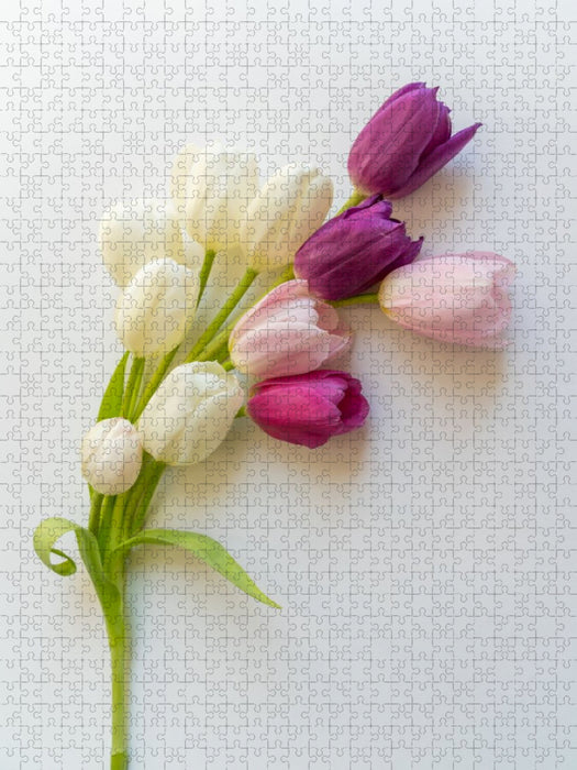 Tulpenzauber - CALVENDO Foto-Puzzle'