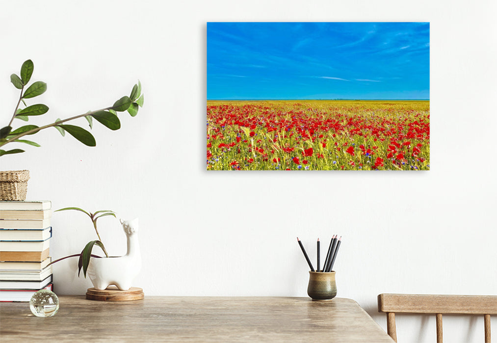 Premium Textil-Leinwand Feld Behrenshagen