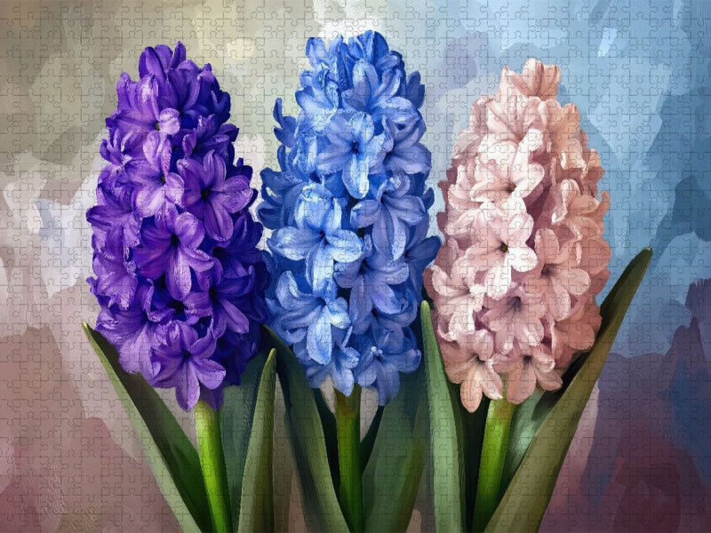 Hyazinthen in drei Farben - CALVENDO Foto-Puzzle'