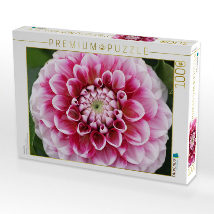 Dahlienblüte - CALVENDO Foto-Puzzle'