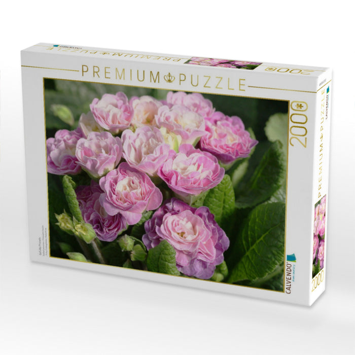 Gefüllte Primeln - CALVENDO Foto-Puzzle'