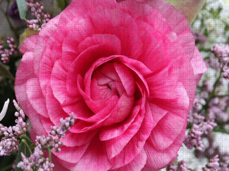 Perfekte Ranunkelblüte - CALVENDO Foto-Puzzle'
