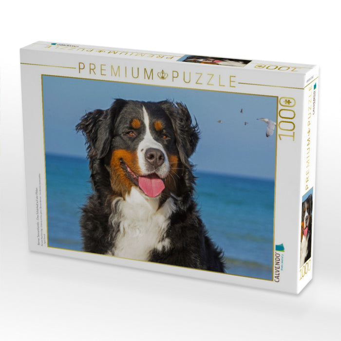 Berner Sennenhündin - Eine Schönheit auf vier Pfoten - CALVENDO Foto-Puzzle'