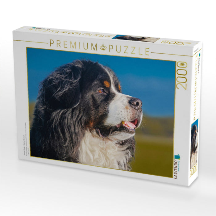 Berner Rüde - Stolz und schön - CALVENDO Foto-Puzzle'