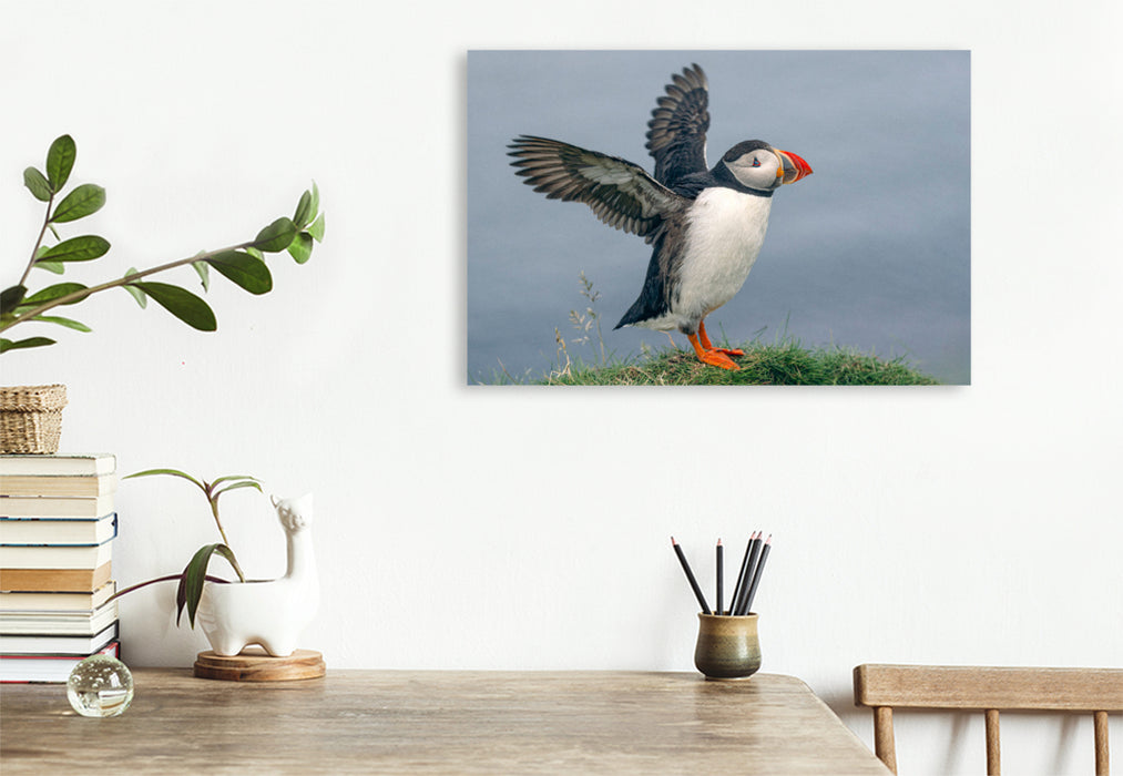 Premium Textil-Leinwand Puffin