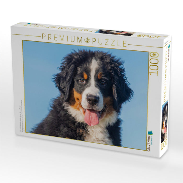 Ein entzückender junger Berner Sennenhund - CALVENDO Foto-Puzzle'